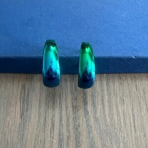 NWOT earrings
